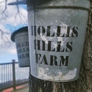 Hollis Hills Farm