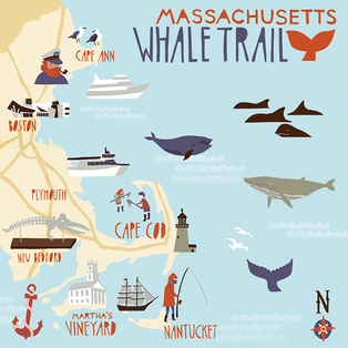 Whale Trail