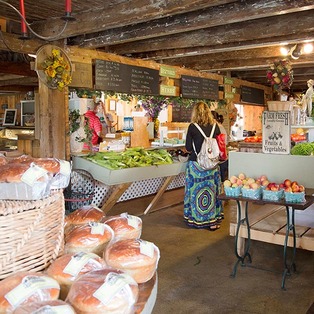 Farm Stands